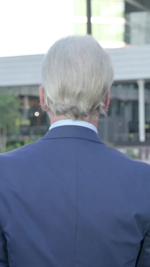 Back View of Walking Old Businessman, Vertical Video Vídeo Stock 339670596