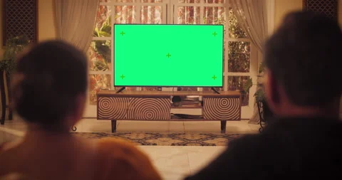 Back View Watching TV Stock Footage 241915638
