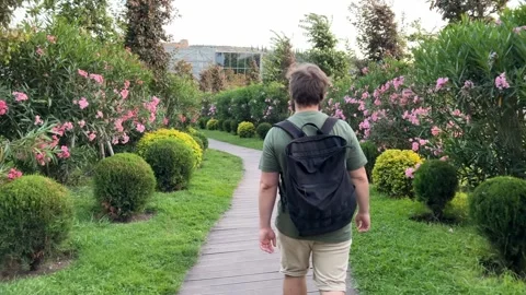 Back view. White man in green T-shirt, beige shorts with black backpack in park Stock Footage 286176914