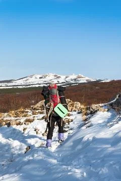 Back view of winter hiker with large backpack in snowy mountains Stock Photos