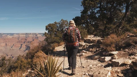 Back View Woman With A Backpack Hiking In The Footpath Of The Grand Canyon Park Stock Footage 120180809
