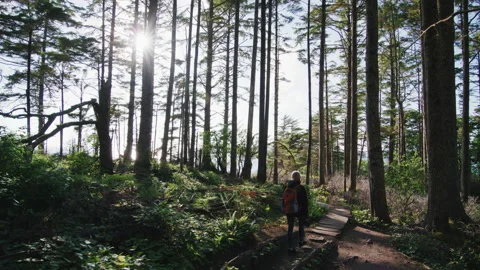 Back view of a woman with a backpack walk towards the shore Stock Footage 201488051