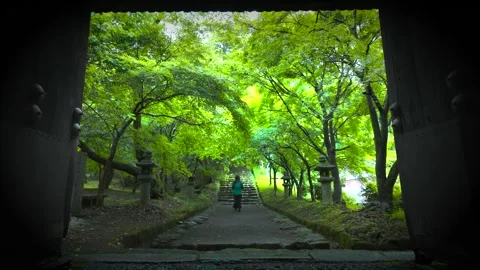 Back View of a Woman Climbing Stone Stairs at a Historic Temple in Japan Stock Footage 335467424