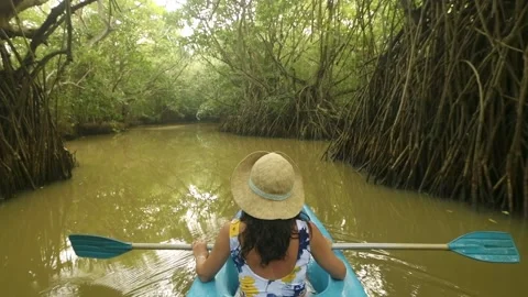 Back view woman sit in double blue kayak. Couple kayaks on calm waters of T.. Stock-Footage 309393566
