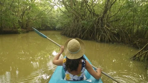 Back view woman sit in double blue kayak. Couple kayaks on calm waters of T.. Stock-Footage 324955998