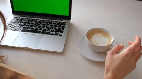 Back view - woman sitting at table drinking coffee and looking at laptop. Stock Footage 120347209