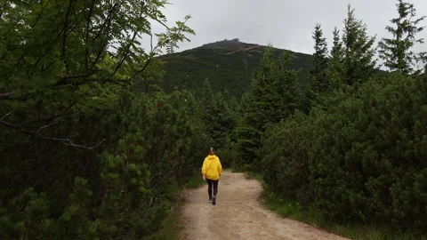 Back view of a woman in a yellow jacket hiking from Ruzohorky towards Snezk.. Stock Footage 340457202