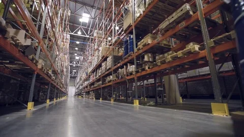 Back view of worker transporting cargo on forklift Stock Footage 76044834