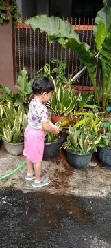 Back View of Young Boy Watering Plants in Sunny Yard Stock Photos