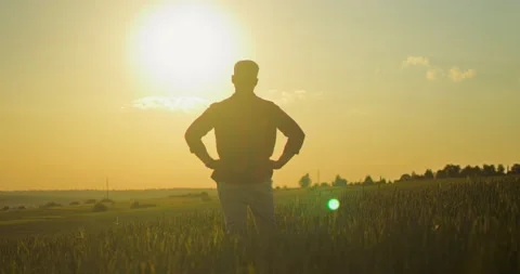 Back view of the young caucasian good looking man farmer looking at the field Stock Footage 157645390