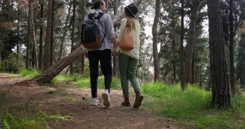 Back view of young couple holding hands and walking in nature. Vidéo 154003613