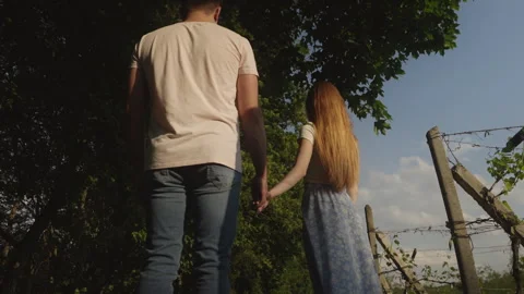 Back view of a young couple standing through meadow hand in hand. Man and woman Stock Footage 252248457