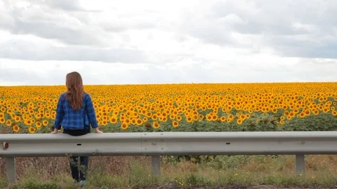 Back view of young girl looking at sunflower field. connection with nature. 스톡 동영상 120412500