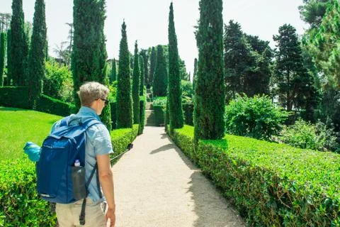 Back view young man making photo and video of green park location with stabil Stock Photos
