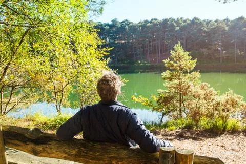 Back view young man sitting and relaxing on the bench near the forest lake du Stock Photos