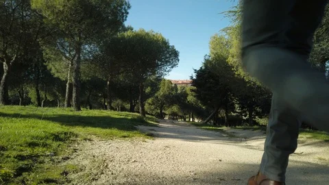 Back view of young man walking his dog across the park on a sunny winter's da Stock Footage 122386615
