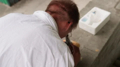 Back View of Young Man in White Coat Examining Pastry Through Microscope Stock Footage 321115228