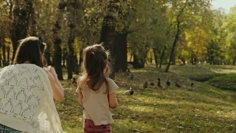 Back view of a young mother and her little daughter feeding ducks on summer day Stock Footage 260723393