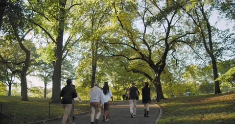 Back View of Young People walking along Path in Central Park New York 動画素材 219565956