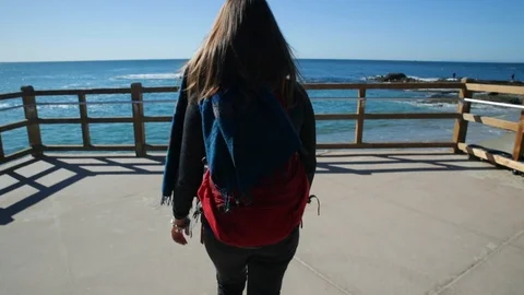 Back view of young woman with backpack and scarf getting closer to the fence on Stock-Footage 102170930