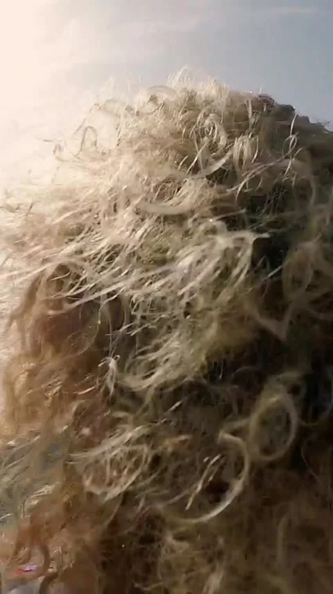 Back view of a young woman with long, curly blonde hair waving in the wind as Stock Footage 344842774
