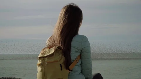 Back view of the young woman sitting on the beach and looking far away Stock Footage 126828016