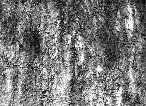 Back wall Stock Photos