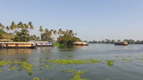 Back waters of kerala Stock Footage 155575866