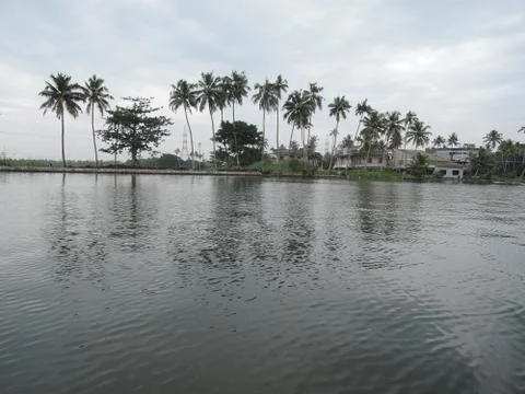 Back Waters in Kerala Stock Photos