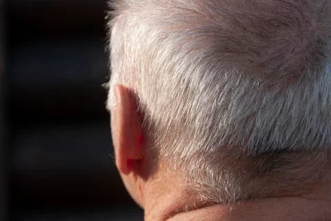 The back of the white-haired man's head Stock Photos