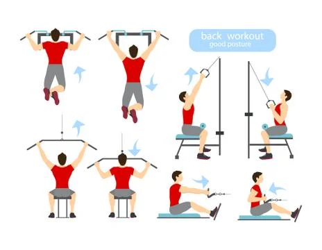 Back workout set. Stock Illustration