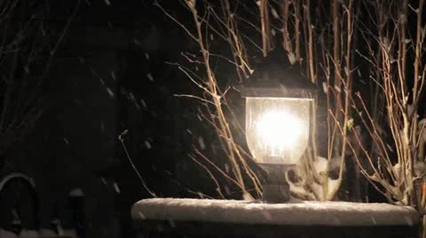 Back Yard Snow Storm Video stock 12501724