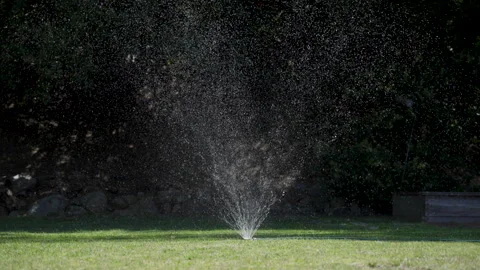 Back yard sprinkler static Video stock 311552532