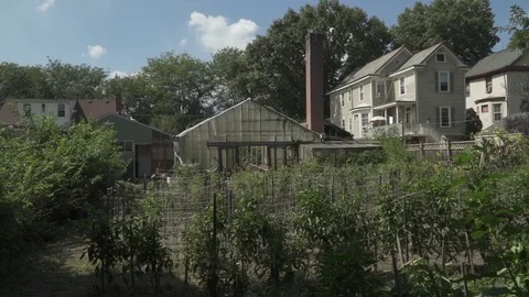 BACK YARD TOMATO PATCH 스톡 동영상 102742643