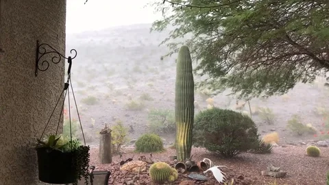 Back yard view of Intense Desert Thunderstorm Stock Footage 123815654