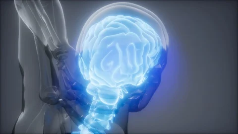 Backache in Back Bones 動画素材 116613220