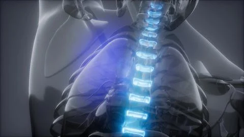 Backache in Back Bones Stock Illustration