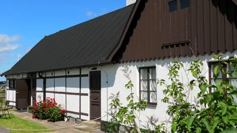 Backåkra, Österlen, Skåne, Swede Stock Footage 220443968