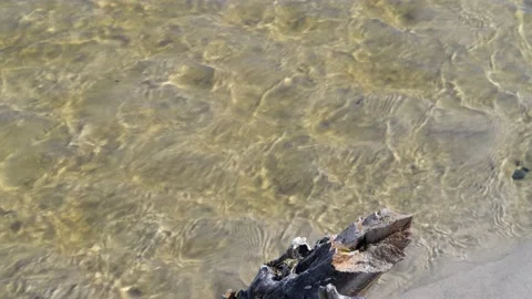 Backåkra, Österlen, Skåne, Sweden Stock Footage 220443649