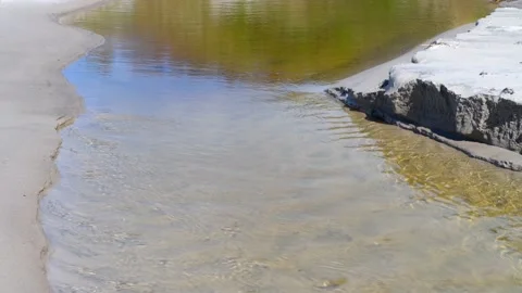 Backåkra, Österlen, Skåne, Sweden Stock Footage 220443650