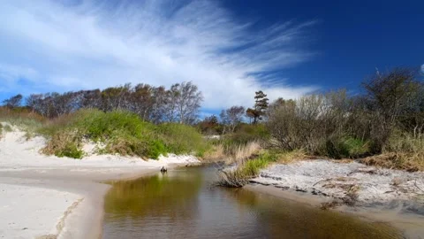 Backåkra, Österlen, Skåne, Sweden Stock Footage 220443651