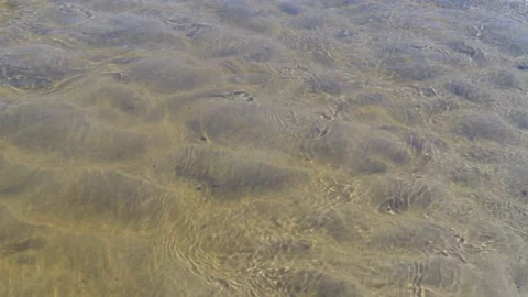 Backåkra, Österlen, Skåne, Sweden Stock Footage 220443680