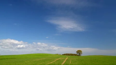 Backåkra, Österlen, Skåne, Sweden Stock Footage 220443876