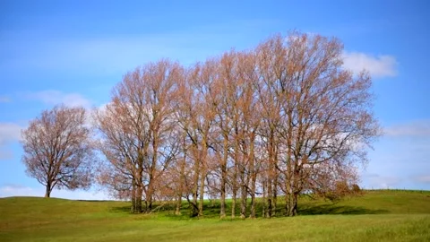 Backåkra, Österlen, Skåne, Sweden Stock Footage 220443892