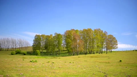 Backåkra, Österlen, Skåne, Sweden Stock Footage 220443899