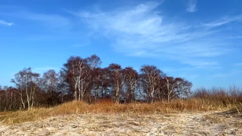 Backåkra, Österlen, Skåne, Sweden Stock Footage 220443915