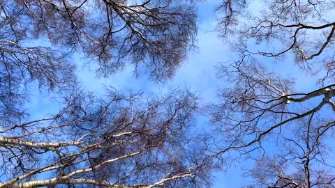 Backåkra, Österlen, Skåne, Sweden Stock Footage 220443923