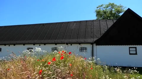 Backåkra, Österlen, Skåne, Sweden Stock Footage 220443954