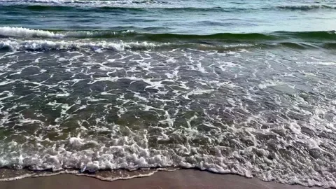 Backåkra, Sweden Stock Footage 220443956