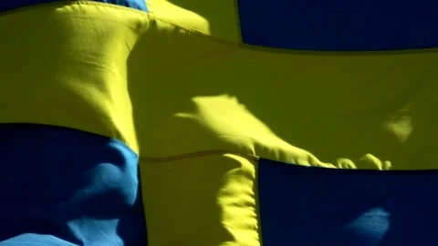 Backakra26 스톡 동영상 220443967